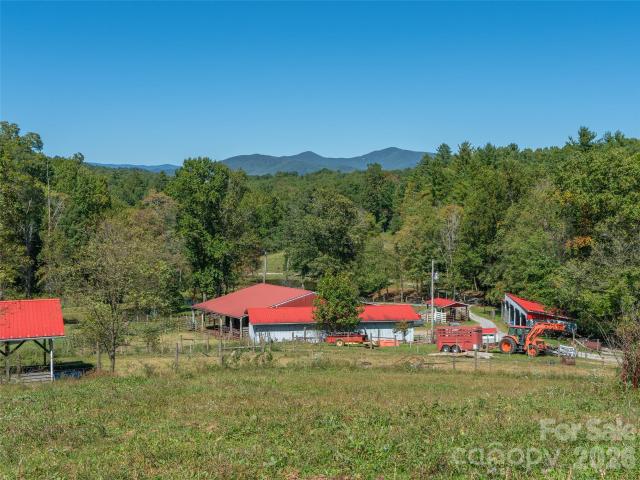 Land for sale in Spruce Pine, North Carolina