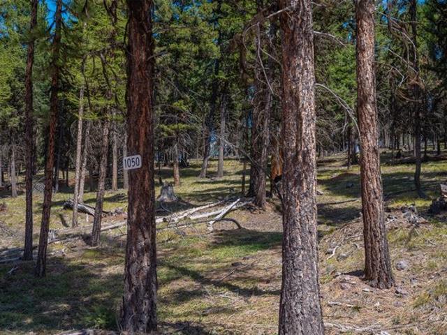 Land for sale in Seeley Lake, Montana