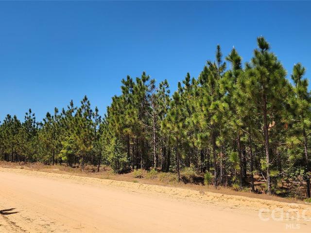 Land for sale in Patrick, South Carolina