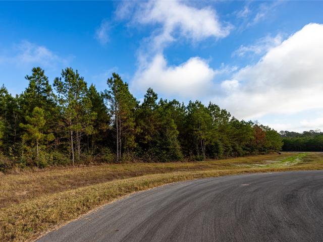 Land for sale in Willis, Texas