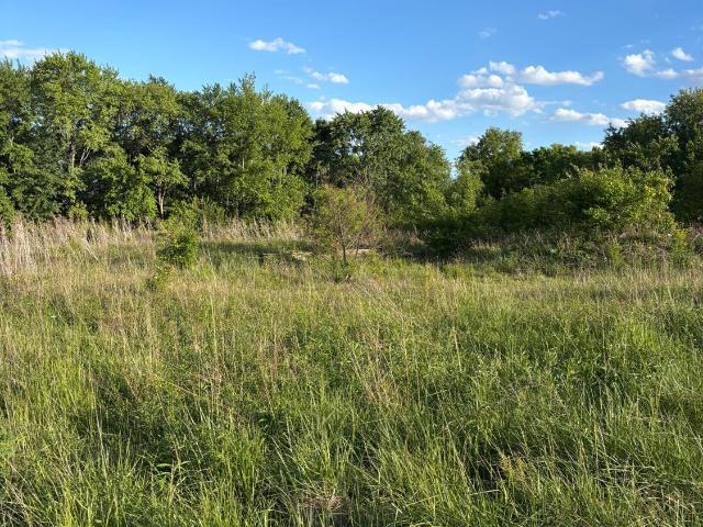 Land for sale in Clarksville, Ohio
