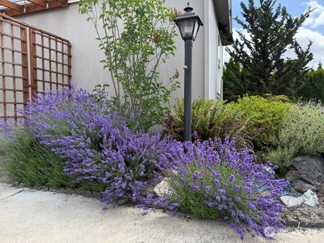 House for sale in Puyallup, Washington