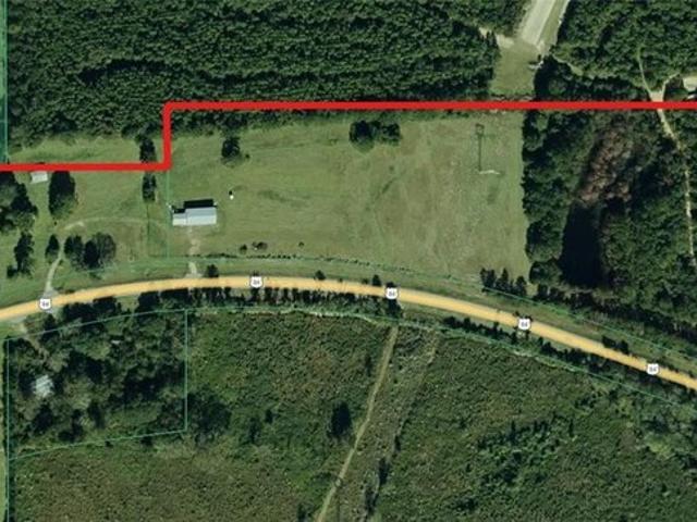 Land for sale in Evergreen, Alabama