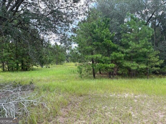 Land for sale in Canoe, Metter