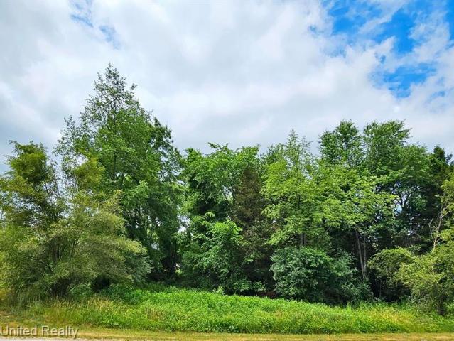 Land for sale in South Lyon, Oakland County