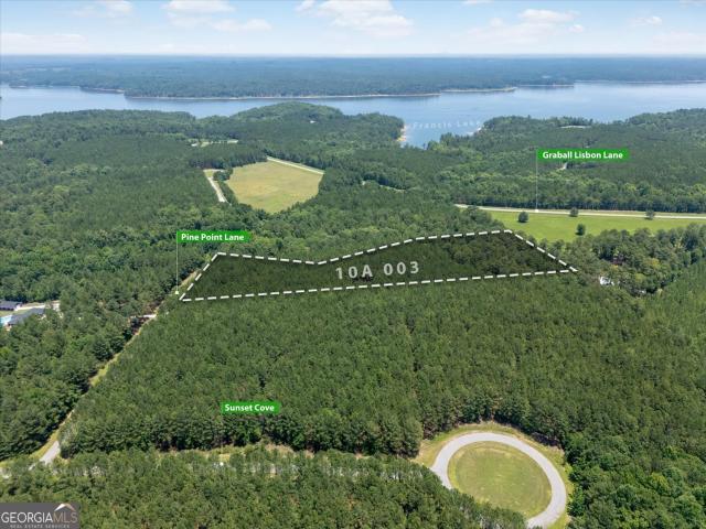 Land for sale in Tignall, Georgia