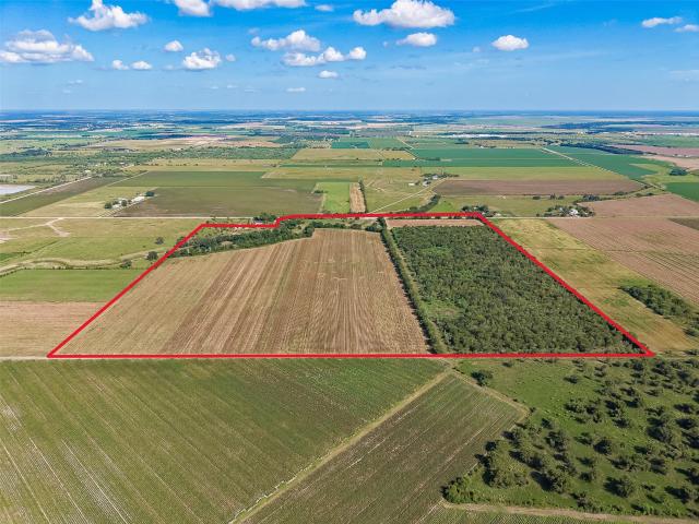 Land for sale in Beasley, Texas