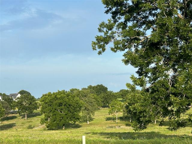 Land for sale in Chappell Hill, Texas
