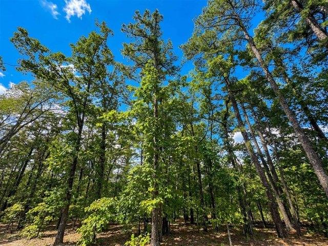 Land for sale in Broken Bow, McCurtain County