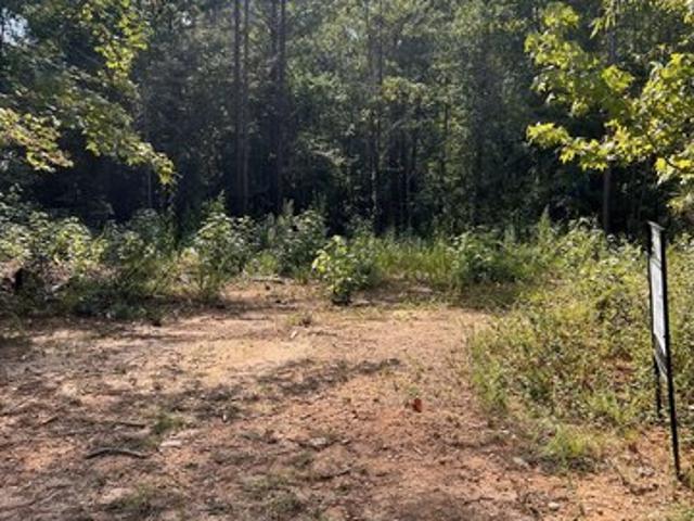 Land for sale in Harlem, Georgia
