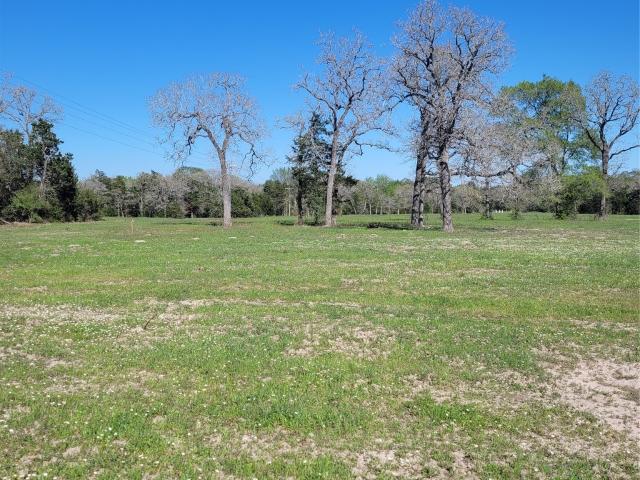 Land for sale in Flatonia, Texas