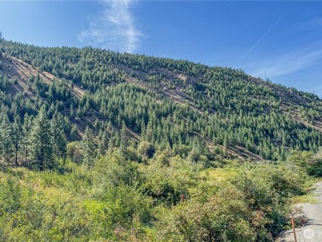 Land for sale in Entiat, Washington