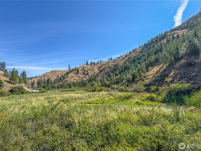 Land for sale in Entiat, Washington