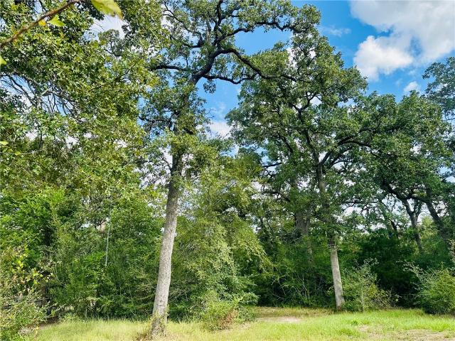 Land for sale in Grimes, Texas