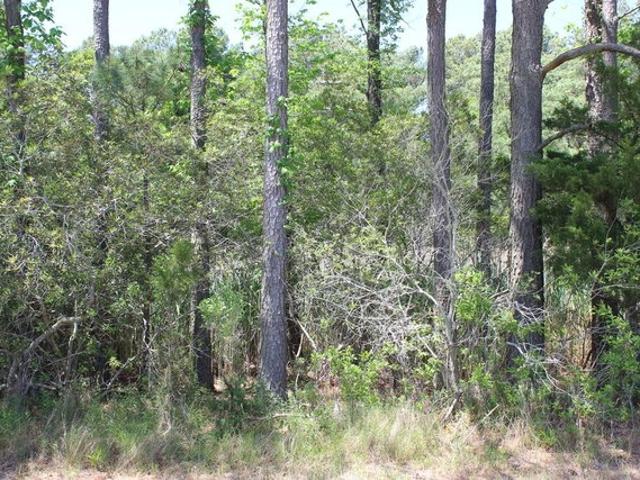 Land for sale in Greenbackville, Accomack County
