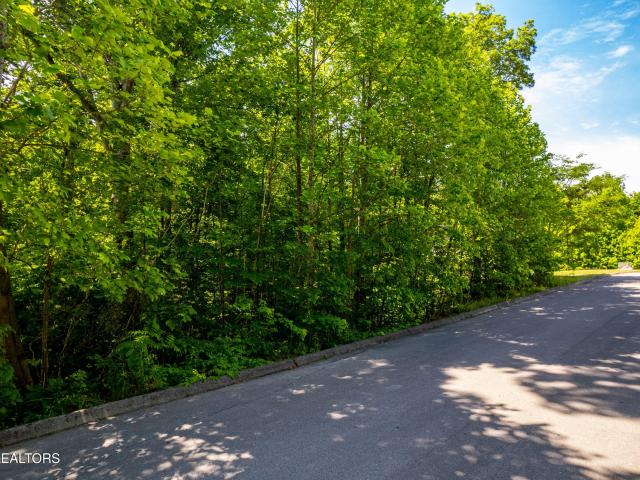 Land for sale in Tennessee