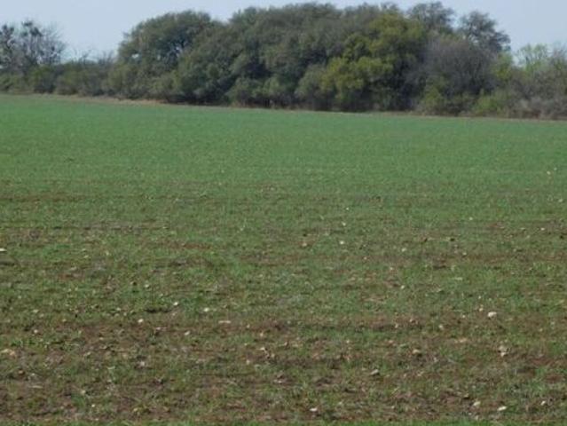 Land for sale in Sabinal, Texas