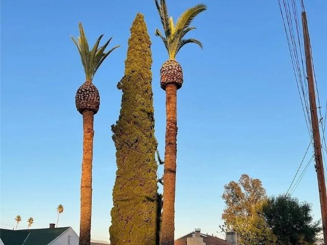 House for sale in Loma Linda, California