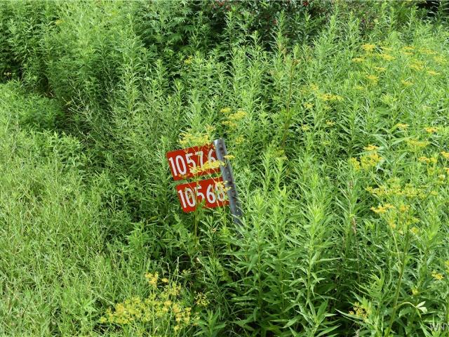 Land for sale in Yorkshire, New York