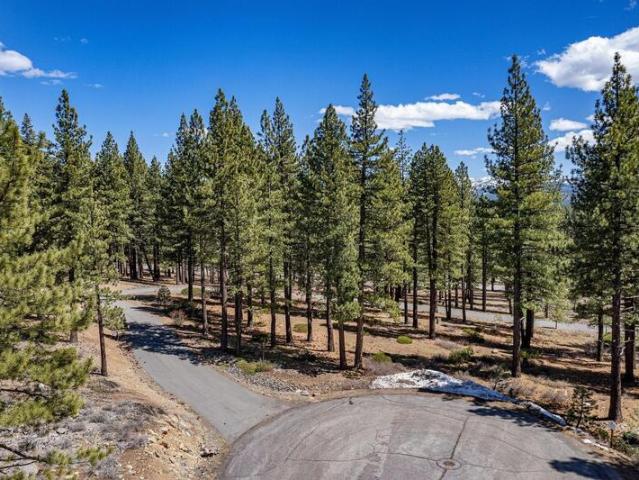 Land for sale in Truckee