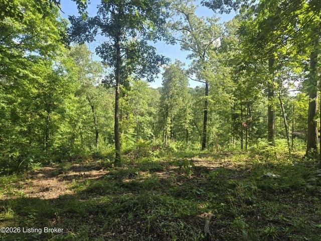 Land for sale in Big Clifty, Kentucky