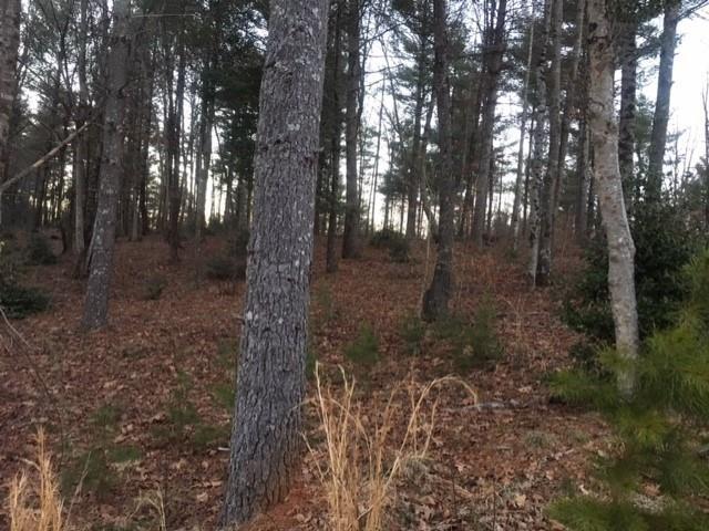 Land for sale in Connellys Springs, North Carolina