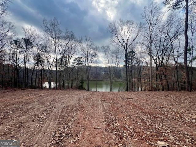 Land for sale in Sandersville, Georgia
