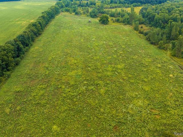 Land for sale in Hillsdale, Michigan