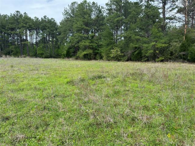 Land for sale in Kountze, Hardin County