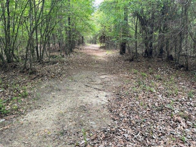Land for sale in Kountze, Hardin County