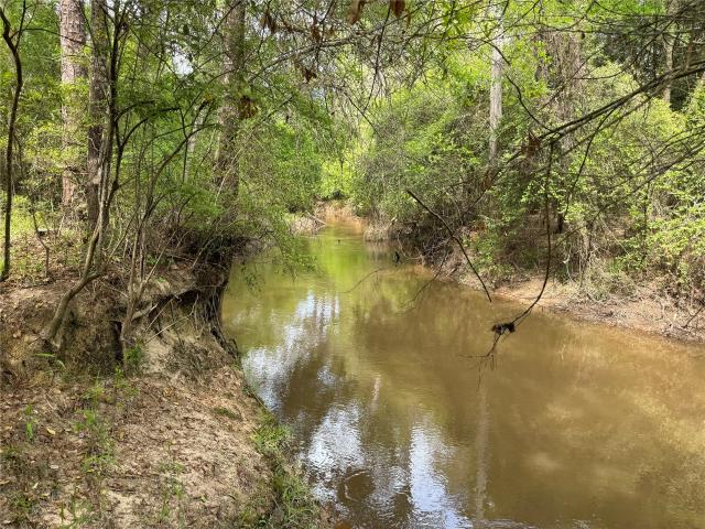 Land for sale in Kountze, Texas