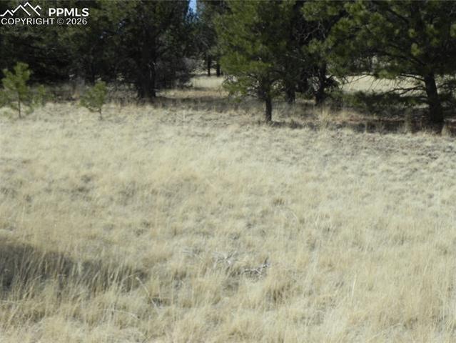 Land for sale in Teller, Colorado