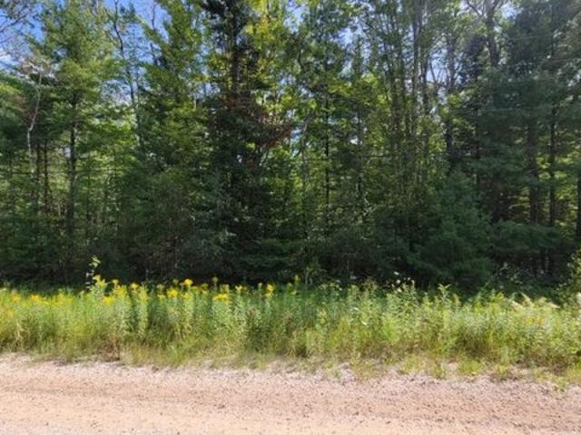 Land for sale in Wolverine, Michigan
