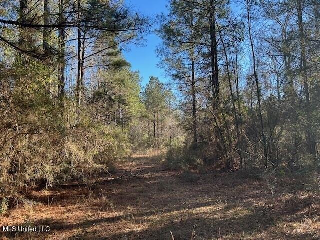 Land for sale in Mccomb, Mississippi