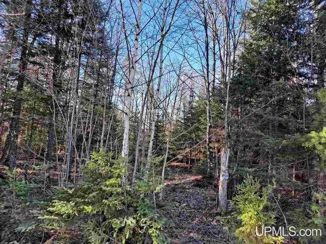Land for sale in Ishpeming, Michigan