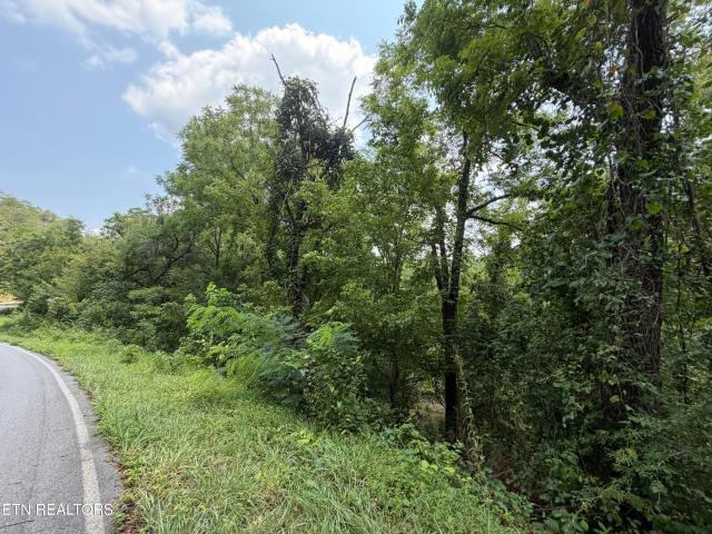 Land for sale in Tennessee