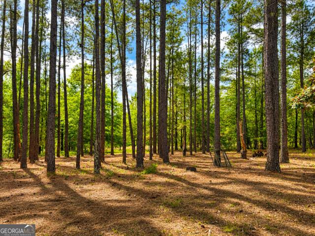 Land for sale in Millen, Georgia