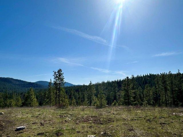 Land for sale in Newport, Washington