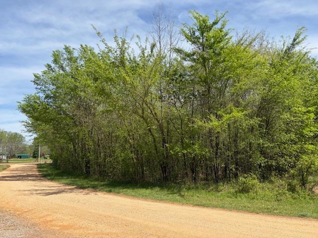 Land for sale in Tennessee