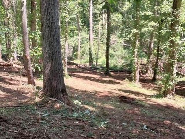 Land for sale in Connellys Springs, North Carolina
