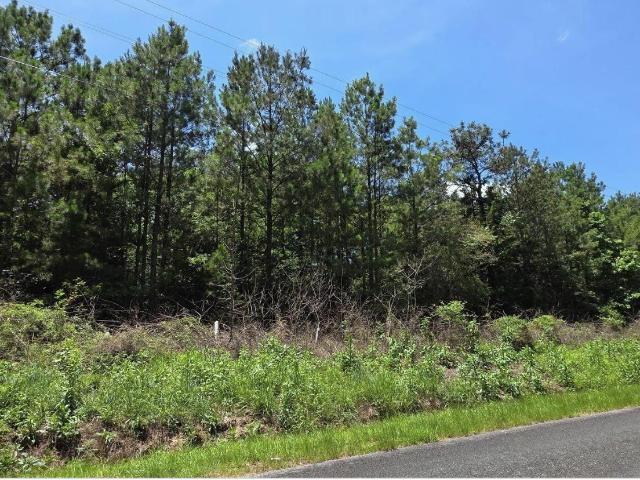 Land for sale in Mc Cormick, South Carolina