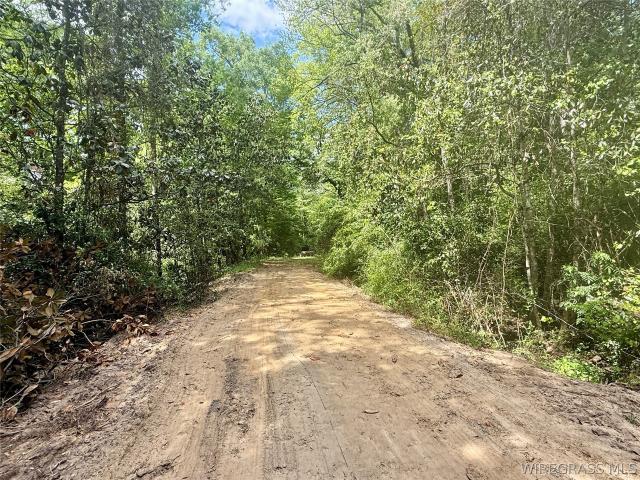 Land for sale in Geneva, Alabama