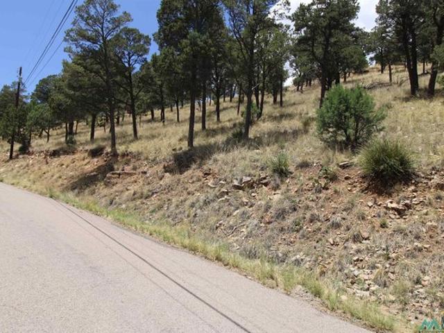 Land for sale in Alto, New Mexico