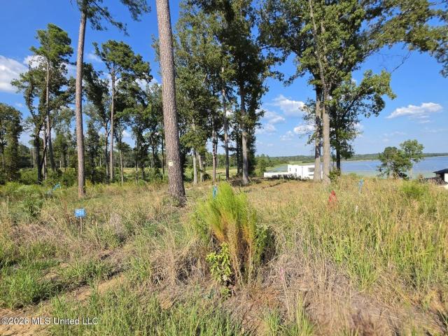 Land for sale in Canton, Mississippi