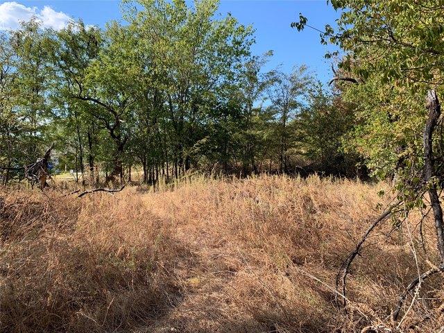Land for sale in Bridgeport, Wise County