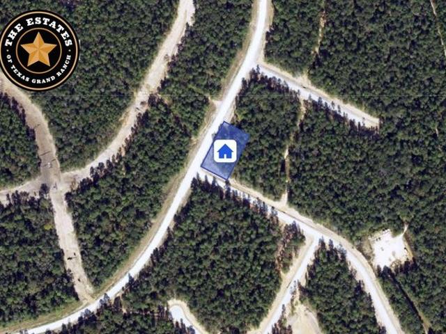 Land for sale in Walker, Texas