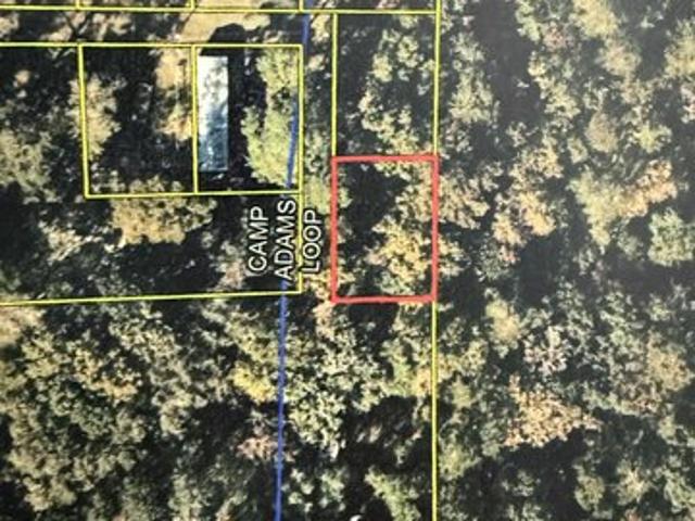 Land for sale in Ponce De Leon, Florida