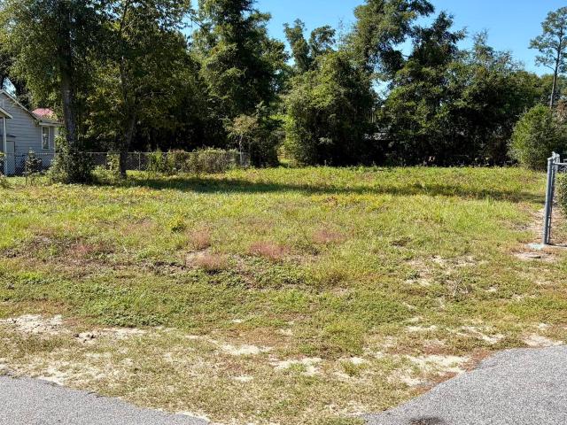 Land for sale in Walterboro, Colleton County