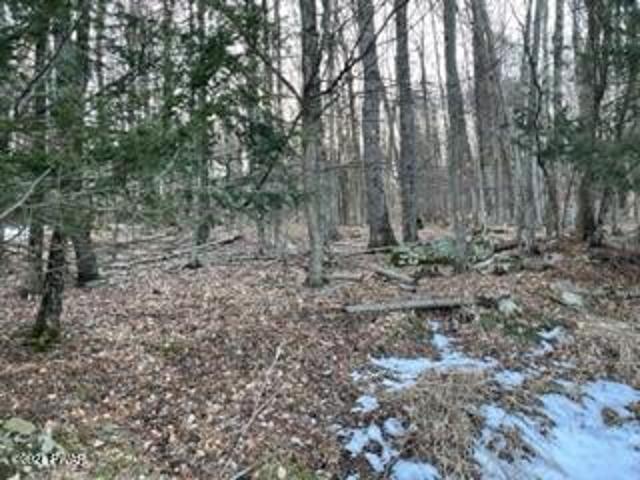 Land for sale in Canadensis, Pennsylvania