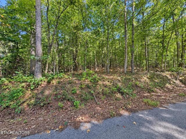 Land for sale in Tennessee